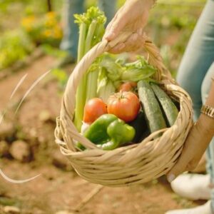 Mand groenten als symbool voor workshop moestuinieren