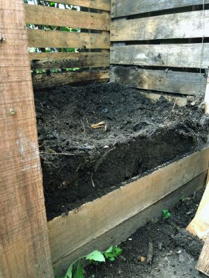 Laag gereed compost in compostbak